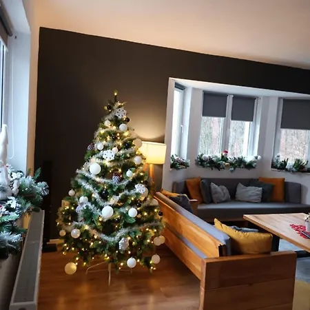 Villa Flow House Satu Mare (Harghita)